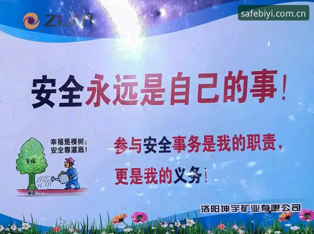 必一体育官网2025安全吗？传统入口与创新直达方案的全面对比